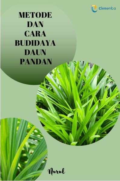 Metode dan Cara Budidaya Daun Pandan